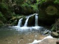 /album/priroda/a20120810-0382-jpg/